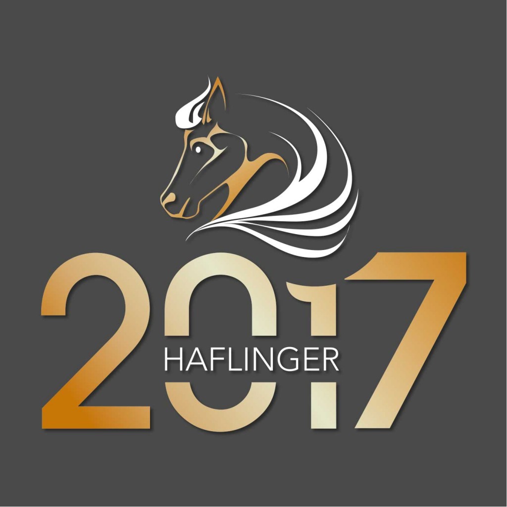 haflinger2017