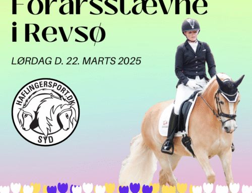 HSDK SYD Forårsstævne 22. marts