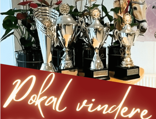 Tillykke til 2024 pokalvindere