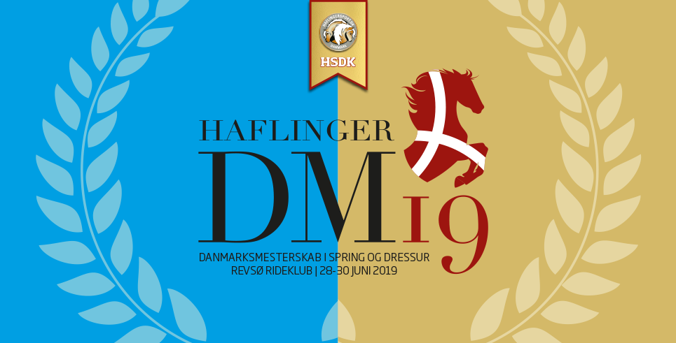 DM_2019