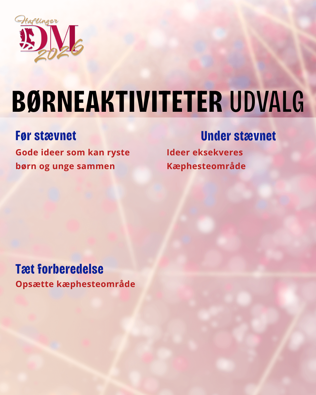 Børneaktiviteter udvalg
