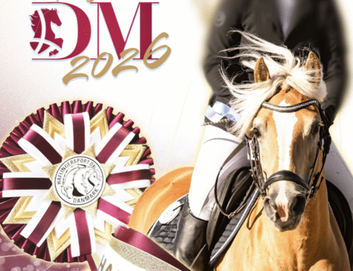 DM Udvalg – Vær med!