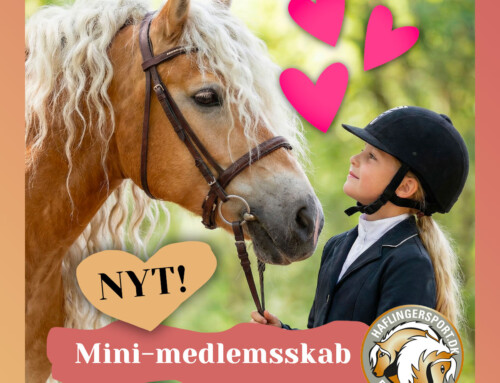 NYT! For børn op til 12 år – bliv minimedlem