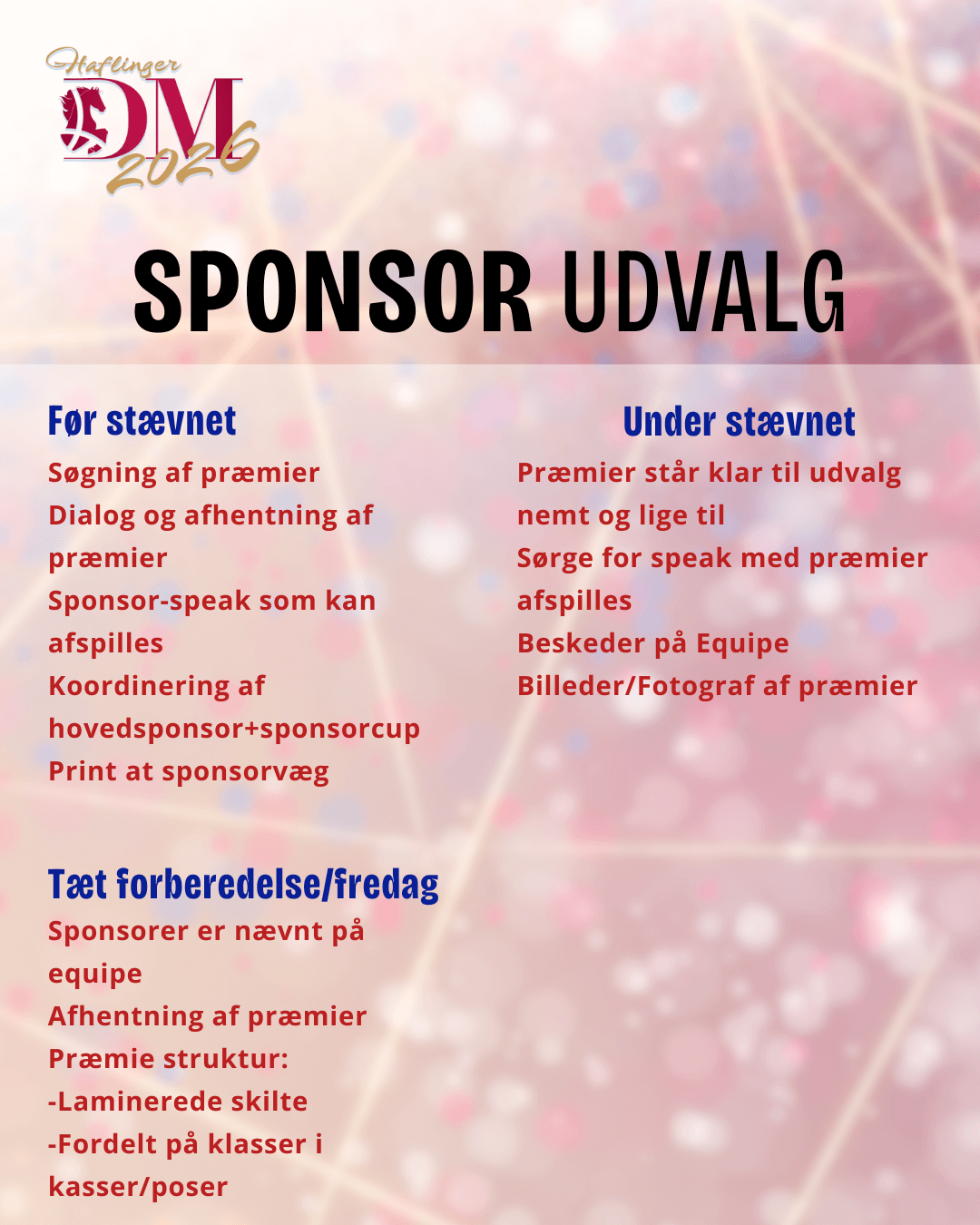 sponsor udvalg