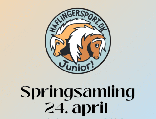 HSDK Junior! – Springsamling 24. april