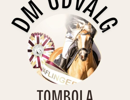 DM Tombola søger frivillige!