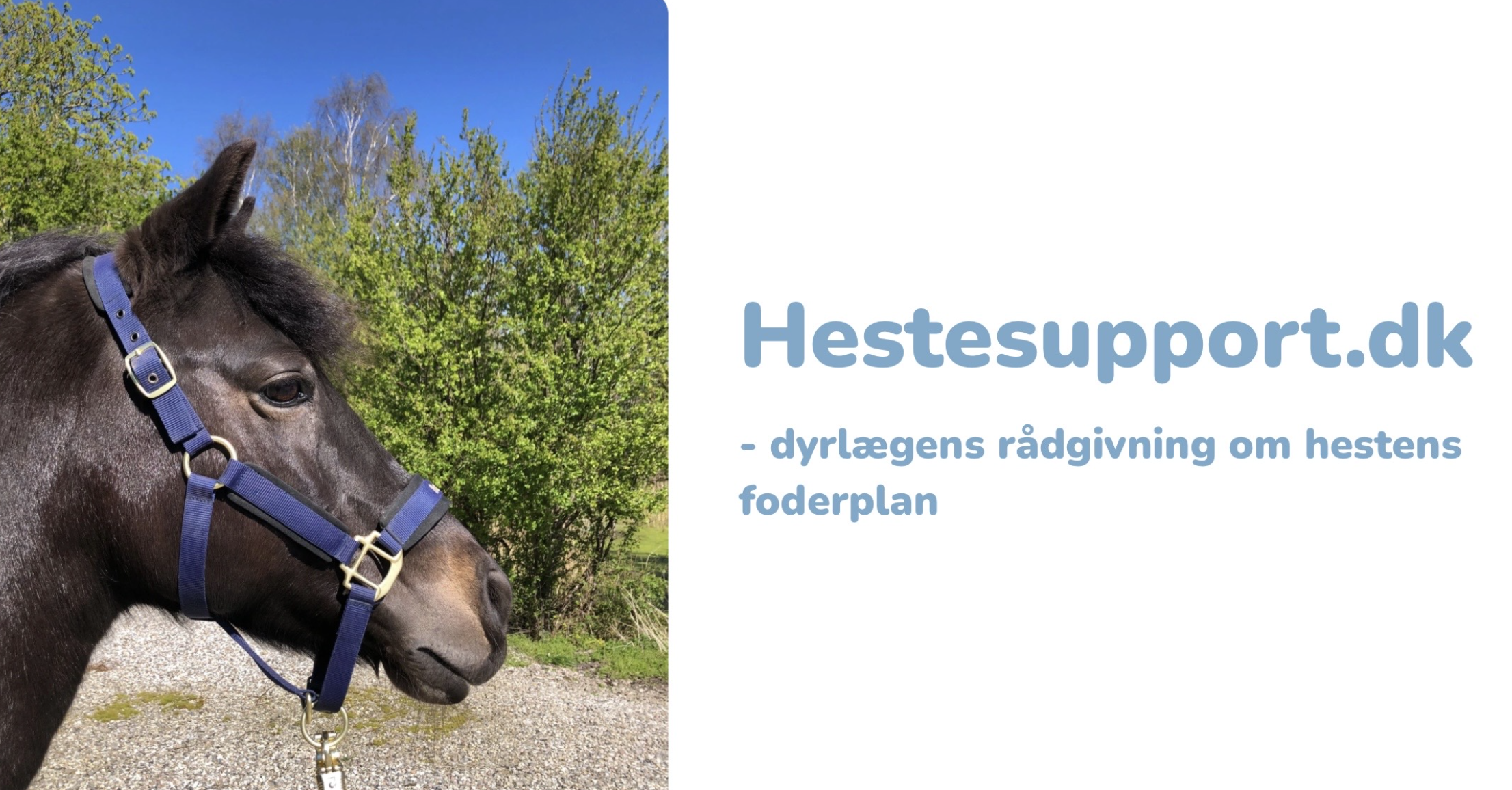 Hestesupport.dk